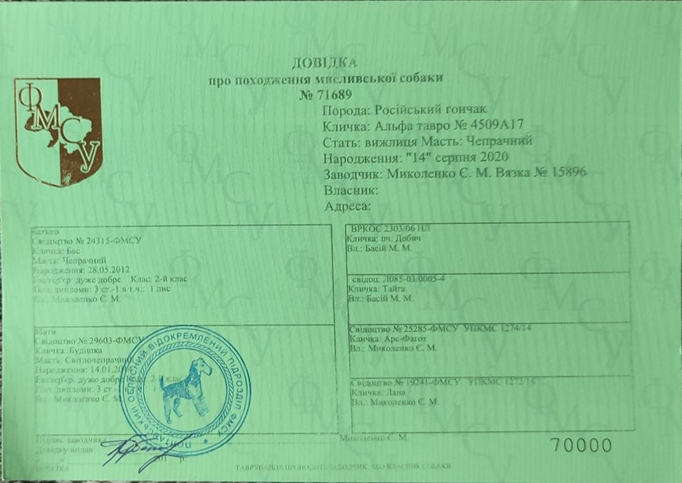 Русская гончая ,Російський гончак