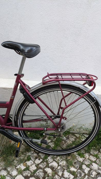 Bicicleta holandesa Sparta Apolo