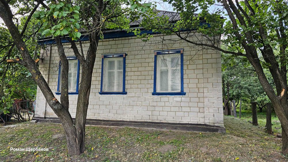 Будинок в селі з газом, пічкою, свердловиною, гарна земельна ділянка