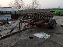 Продам коток кольчато шпоровый