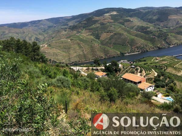 Terreno Edificavel - Vistas sobre Rio Douro