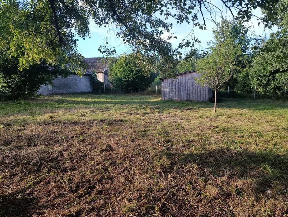 Dom wolnostojący wraz z lasem 4,8ha TUROWICE
