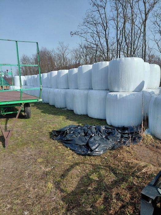 Sprzedam sianokiszonkę