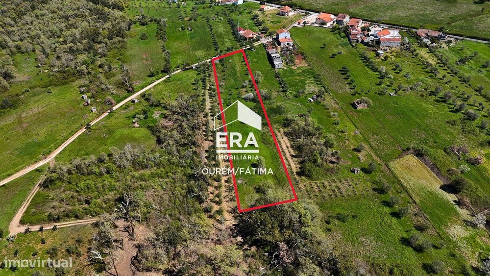 Terreno em Ferreira do Zezere