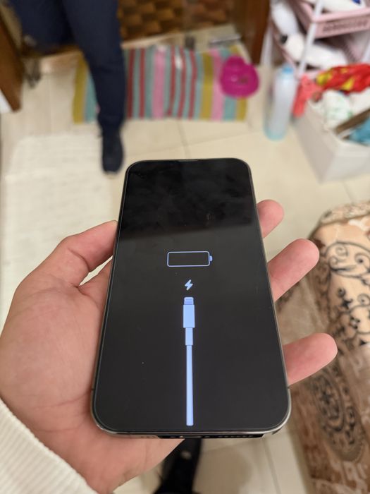 Iphone 13 pro max cinza