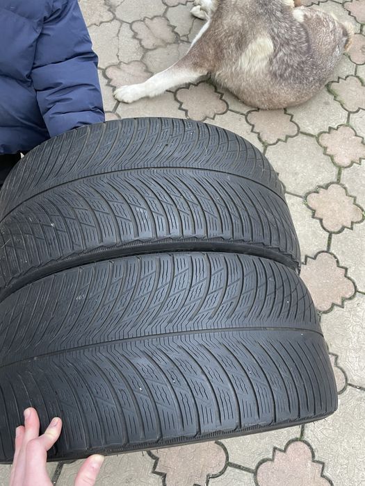 Шини. Michelin pilot alpin 5 255/40 r18