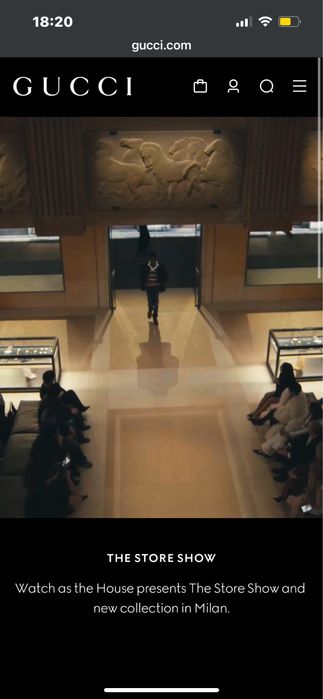 Пуховик Gucci&TNF