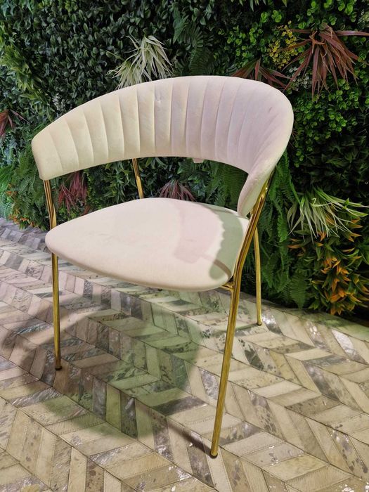 Conjunto Cadeiras com Apoio de Braço