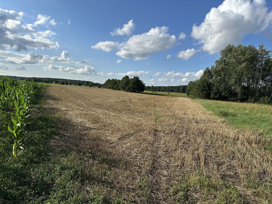 Działki budowlane na sprzedaż Świniary Borowna