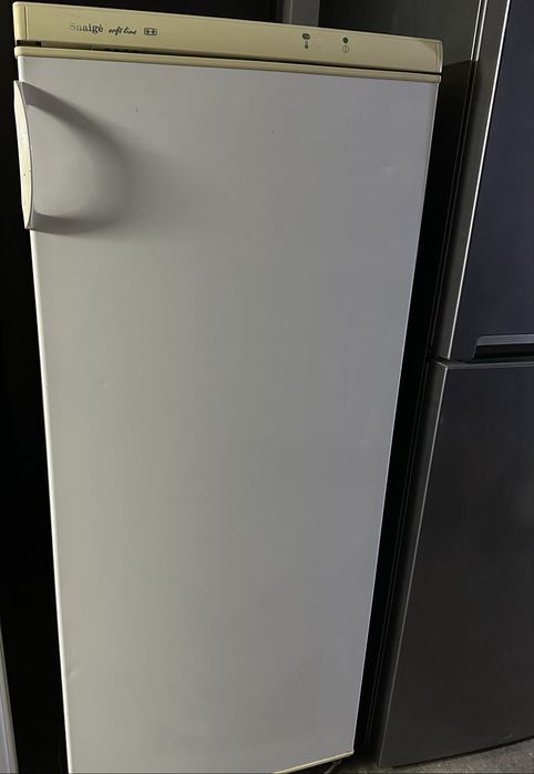 Холодильник «Snaige R290»