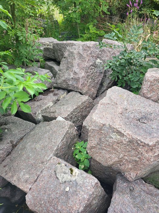 Kamień ozdobny do ogrodu