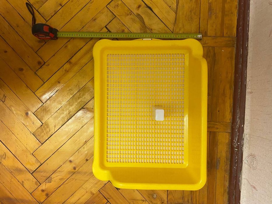 Собачий лоток