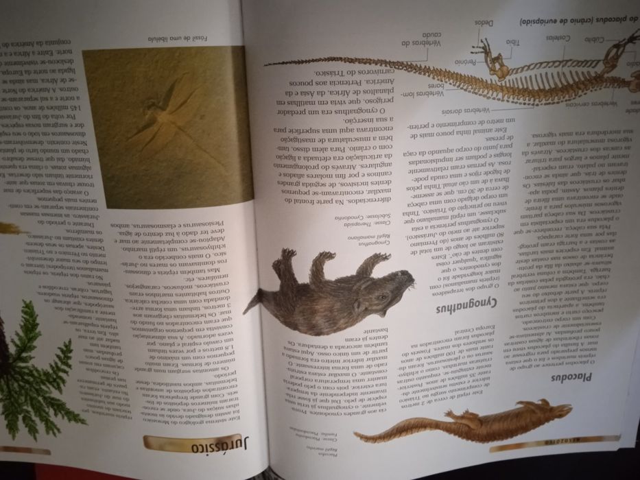 Livro Dinossauros