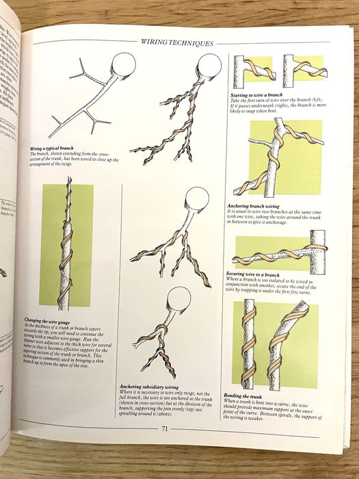 THE COMPLETE BOOK OF BONSAI