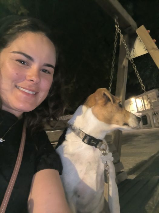 Pet sitter - cães e gatos - Lisboa