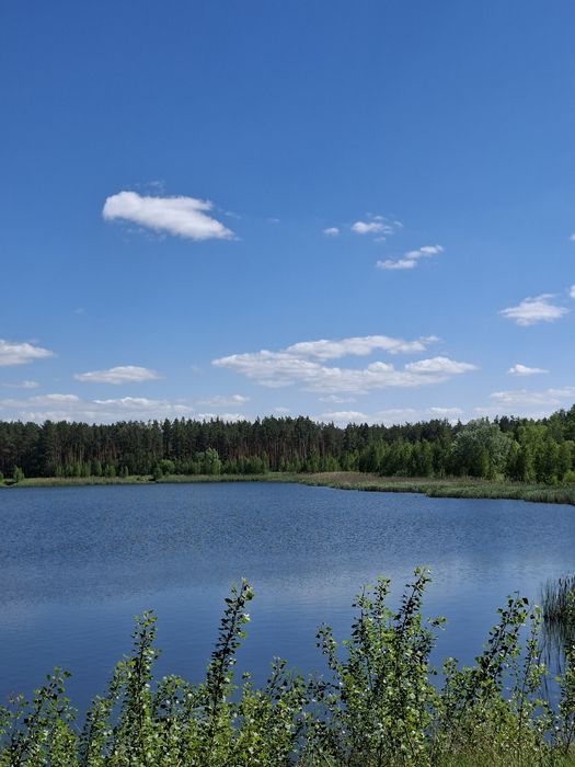 Продаж ! Будинок  185 м2  6 кімнат Ліс . Бородянка , Макарів