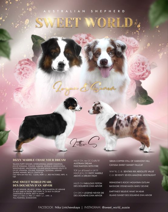 Stonehaven Bayshore Aussies 50th Anniversary New Wedding