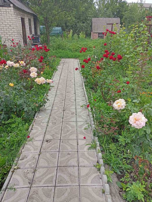 Продам дом Центр