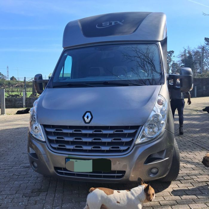 Renault Master STX Transporte cavalos 5 lugares