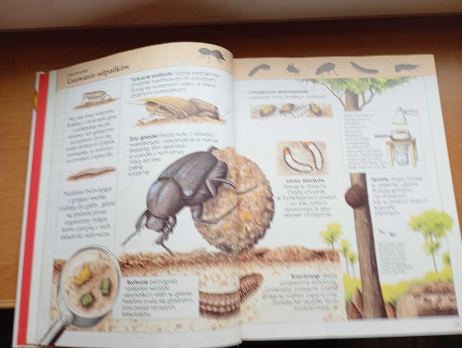 Encyklopedia dziecięca