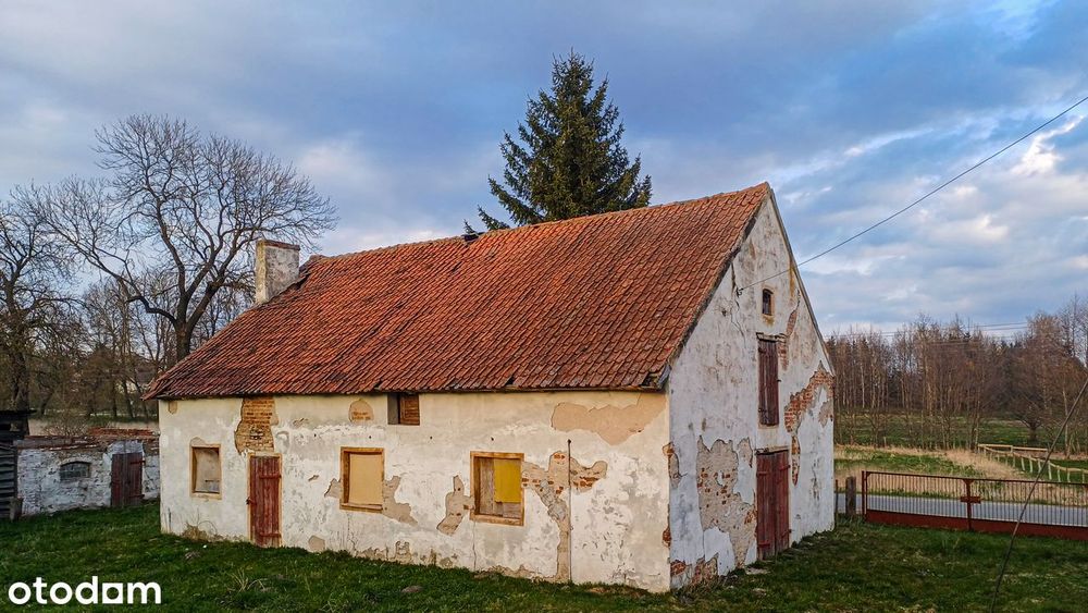 Siedlisko z łąką o łącznej powierzchni 1,12 ha - View 3