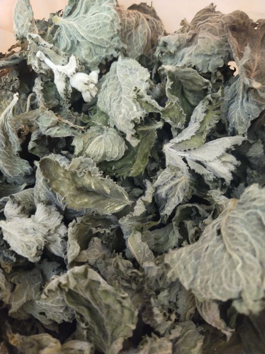 Mięta suszona ekologiczna. 30g.