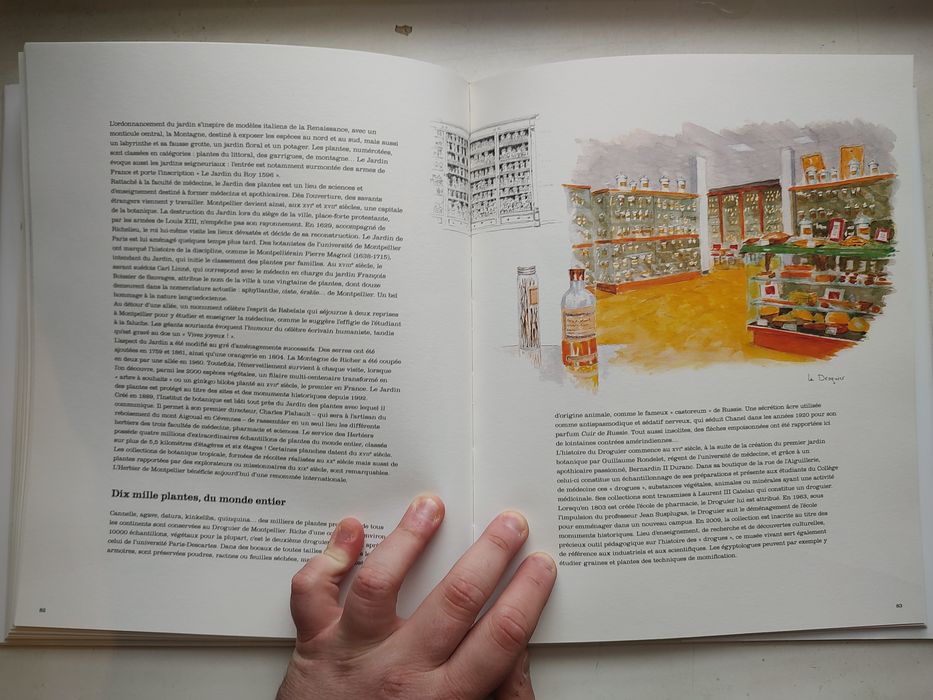 Книга-альбом про Монпелье: Montpellier illustre et secrète