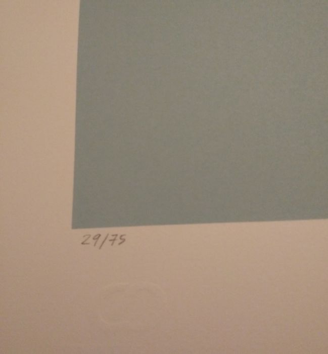 Serigrafia Ana Ventura