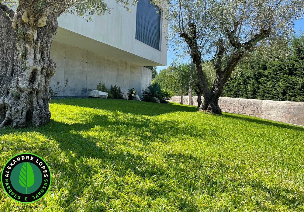 Produtor de relva natural, envios para todo o país