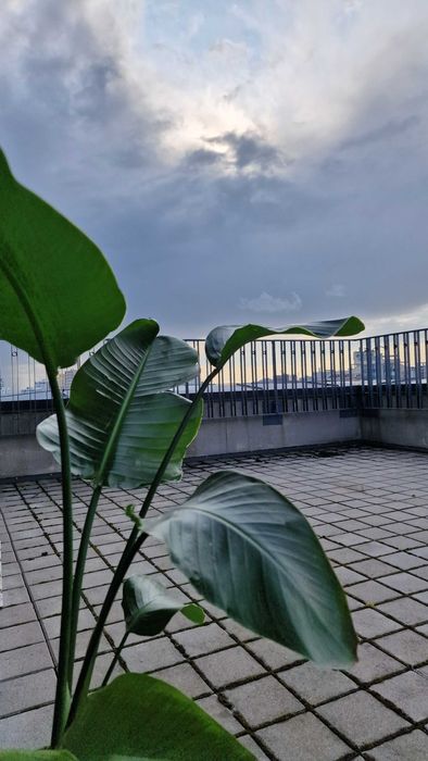 Объект снят с продажи - Atlanta.ua - фото 10