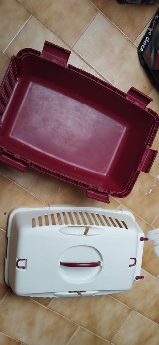 Transportadora animais