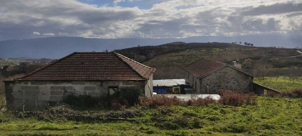 Quinta agrícola para investimento - Baião