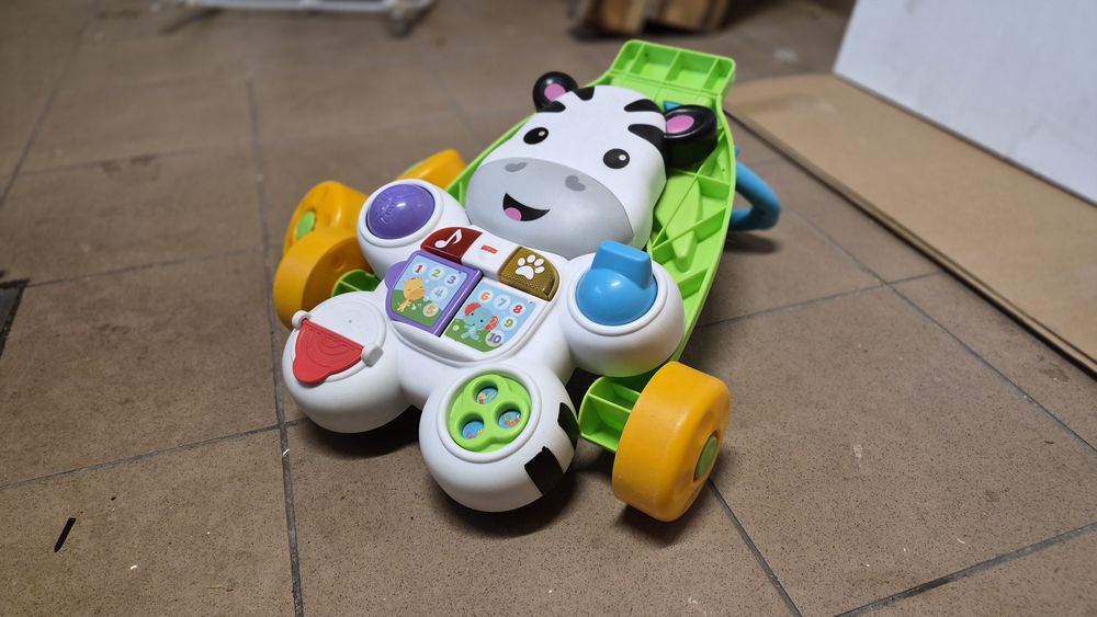 Aktywny chodzik Zebra