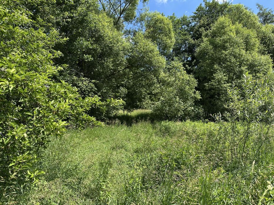 Sprzedam działkę rolną Bączal Dolny - Widok 5