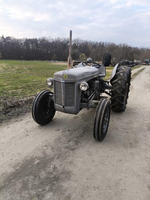 Ciągnik Ferguson te-a traktor tea 20 tea20 Massey Ted tef ursus c-330
