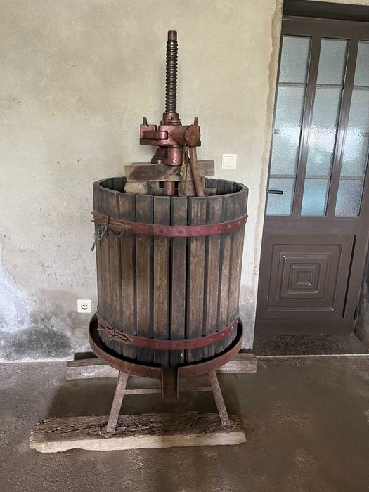 Prensa e ralador de uvas