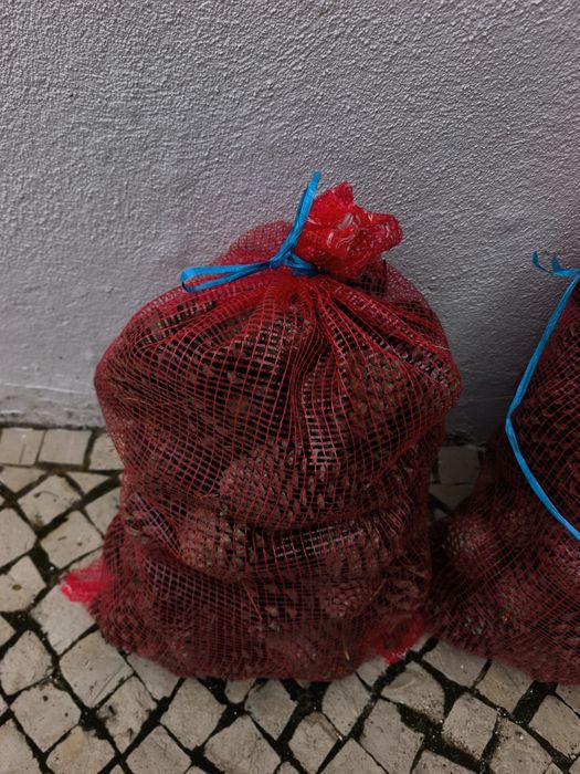 Saco de pinhas 5kg
