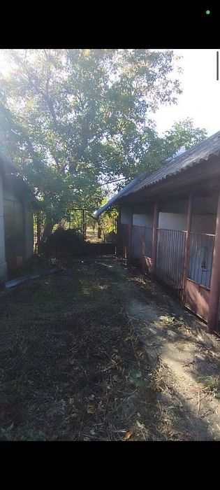 Будинок в Закарпатська обл. Берегівський р-н. м. Берегове