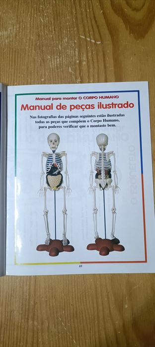 Coleção do Corpo Humano