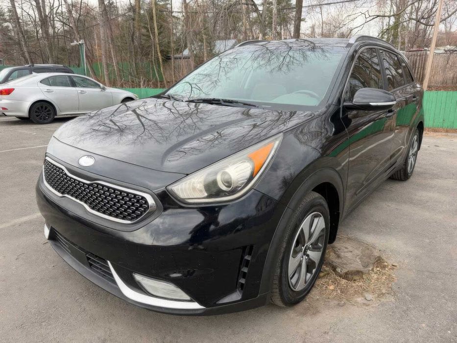 Kia Niro      2019