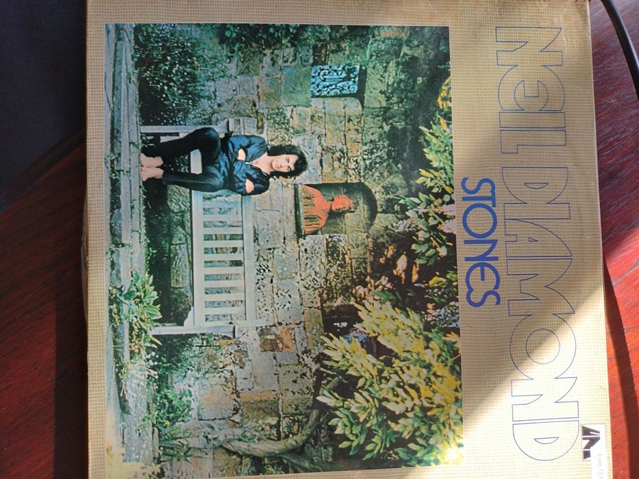 Discos de vinil (vários)