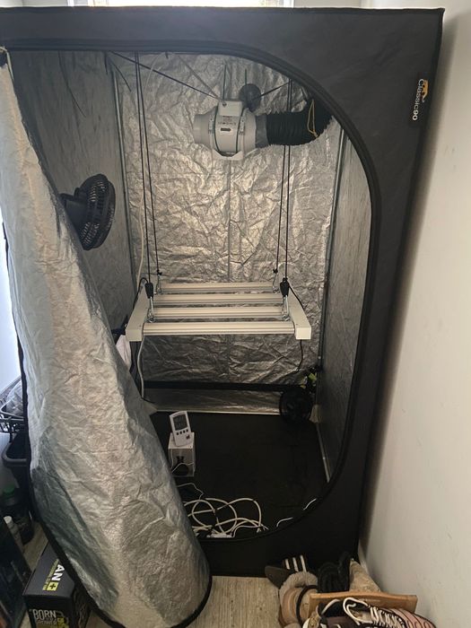 Grow para cultivo indoor