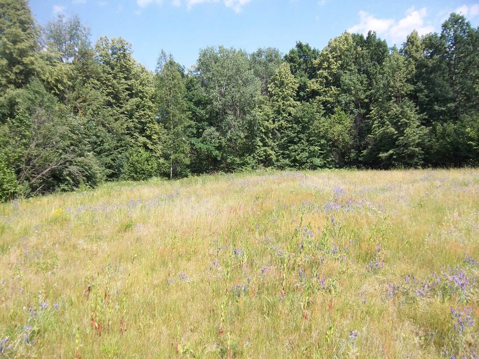 Продам приватизовану земельну ділянку