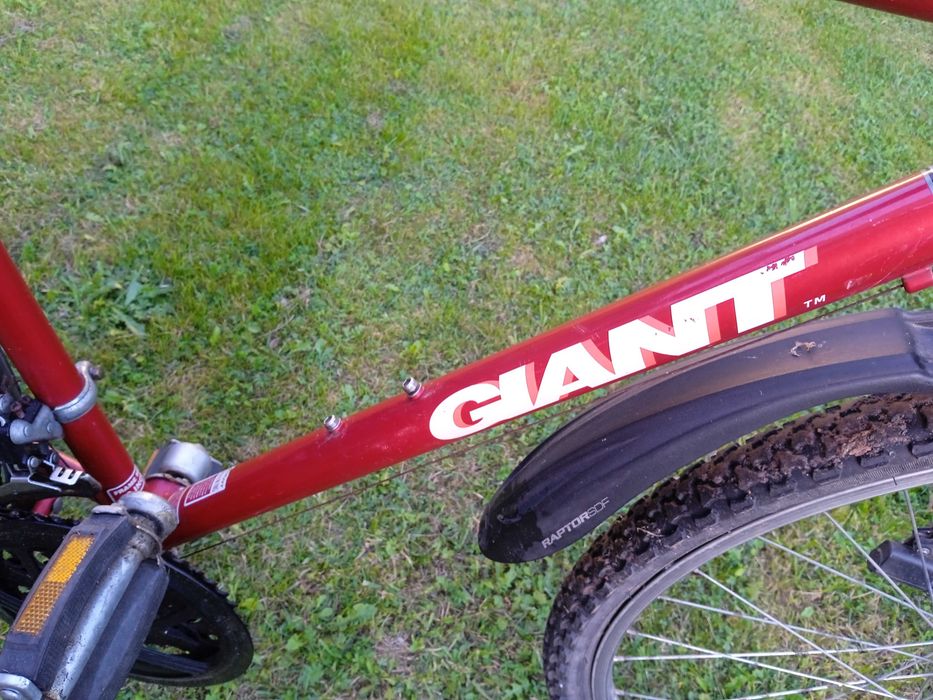 Rower Giant GSR 200