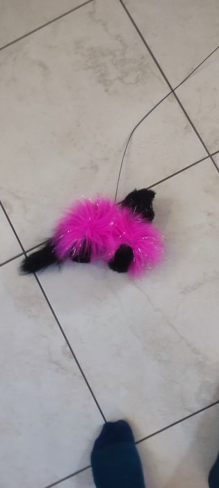Maskotka kotek do prowadzenia