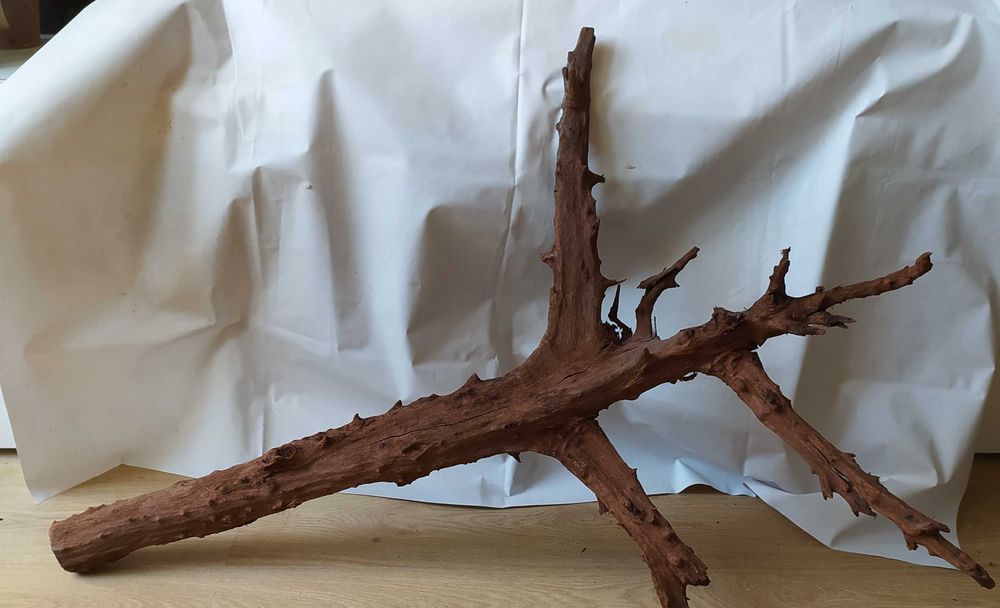 Olbrzymi korzeń -110cmx80cm