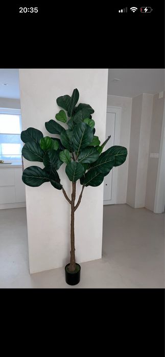 Planta ficus lyrata artificial