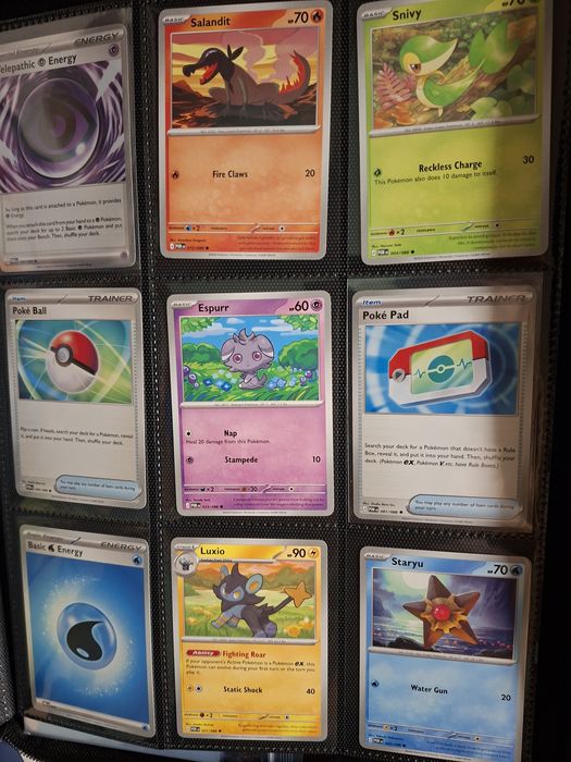 Cartas pokemon perfect order