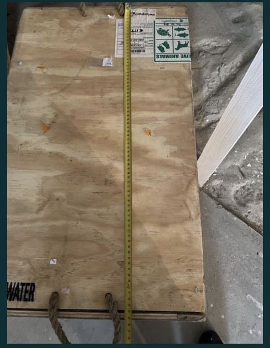 Caixa para transporte de cao ou gato