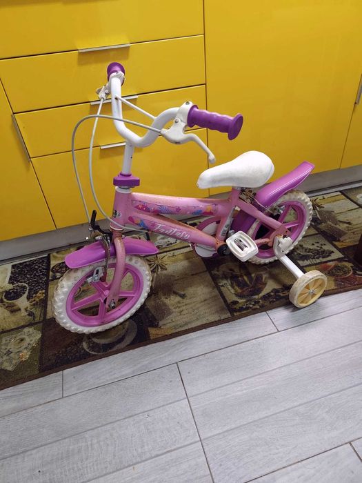 Bicicleta fantasy rosa C/Rodas de apoio